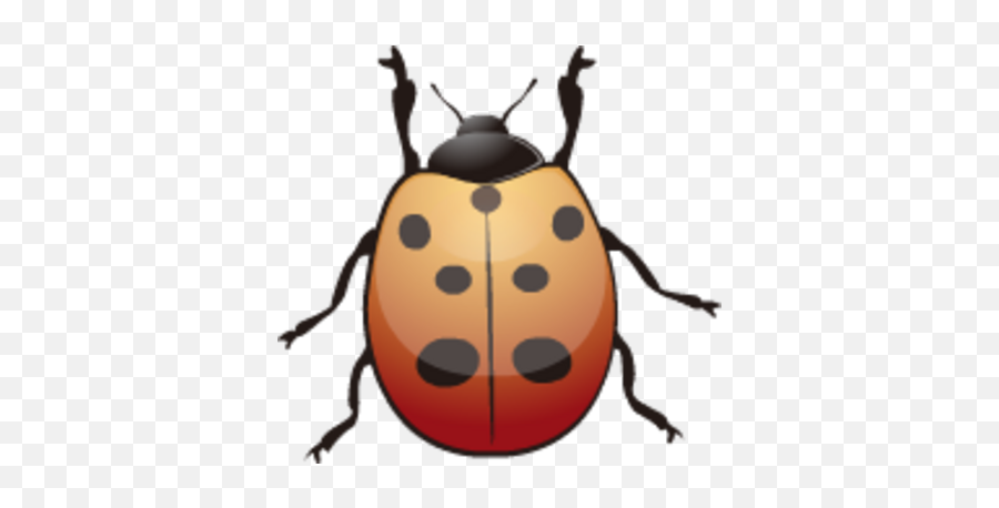 Ladybug Psd Psd Free Download Templates U0026 Mockups Emoji,Beetle Emoji