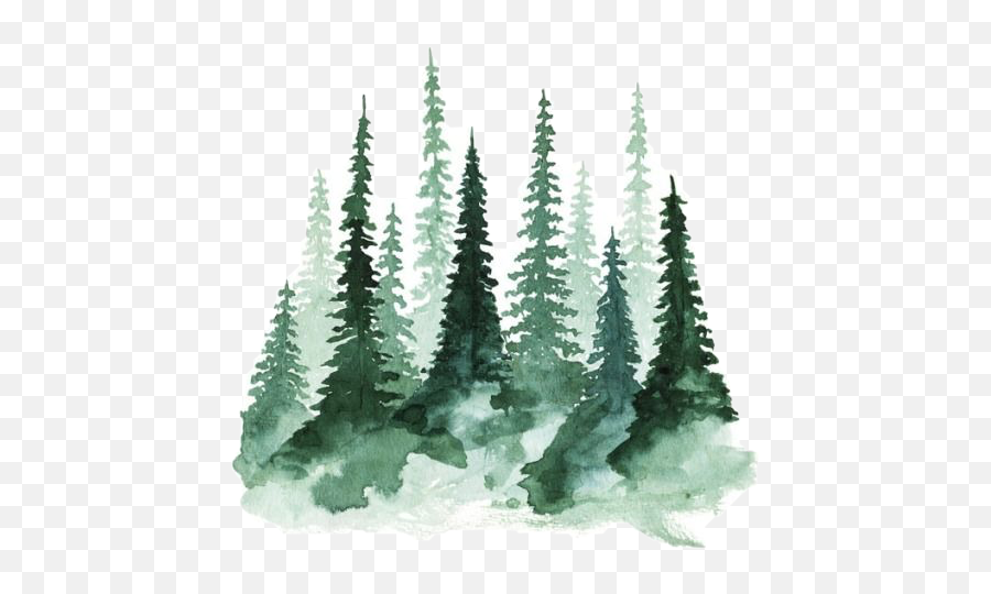 Evergreen Sticker Challenge - Watercolor Pine Tree Emoji,Evergreen Emoji