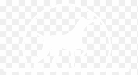 Alexandria Virginia Dog Walking And Pet Sitting Services Emoji,Walk Dog Emoji