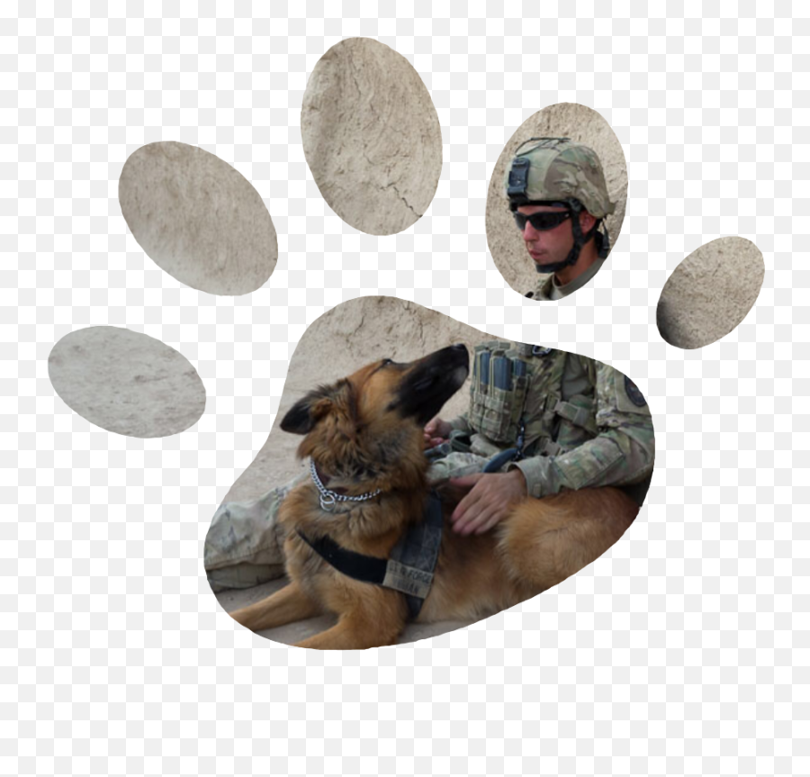 Largest Collection Of Free - Toedit Wardog Stickers Soldier Emoji,Cheesing Emoji