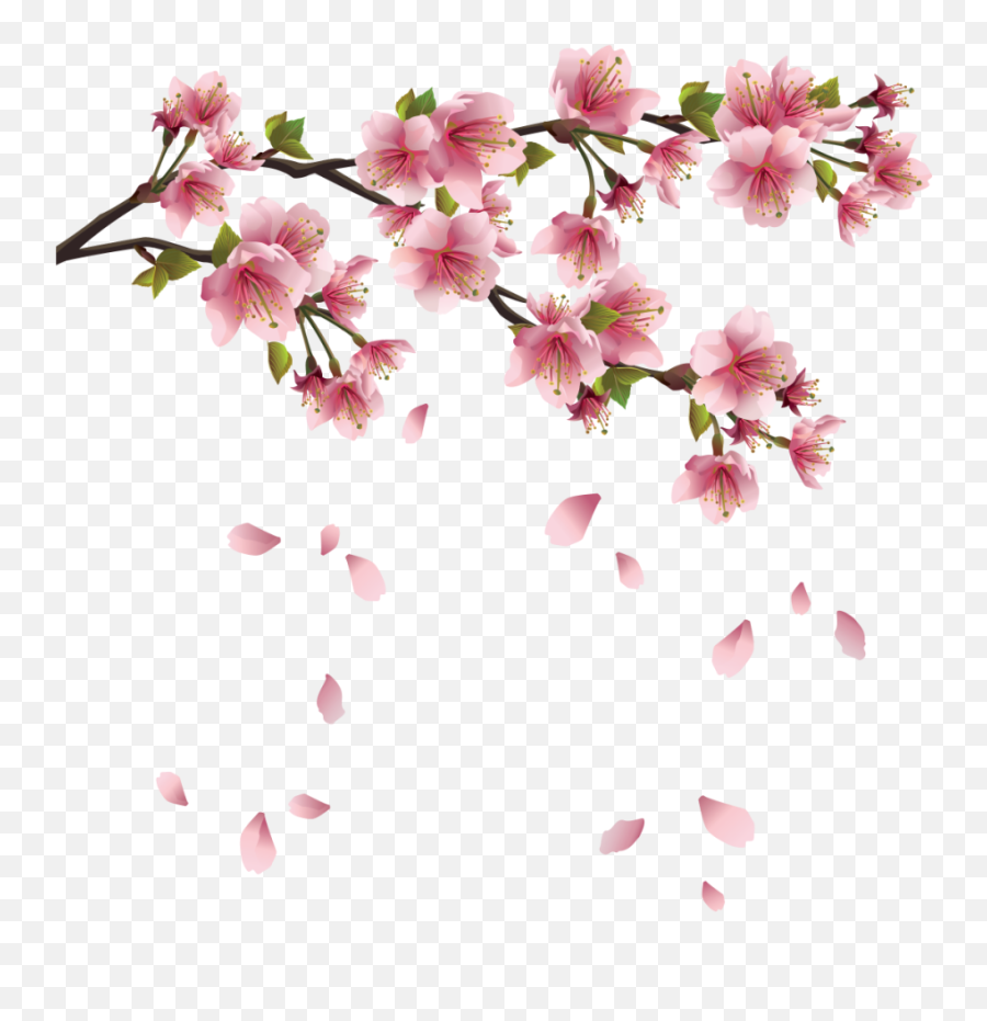 Japanese Flower Png Japanese Flower Png Transparent Free - Cherry Blossom No Background Emoji,Japanese Flower Emoji
