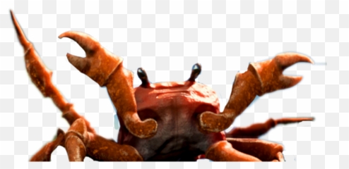 Crab Rave Sticker - Crab Rave Discord Emote Emoji,Crab Emoji