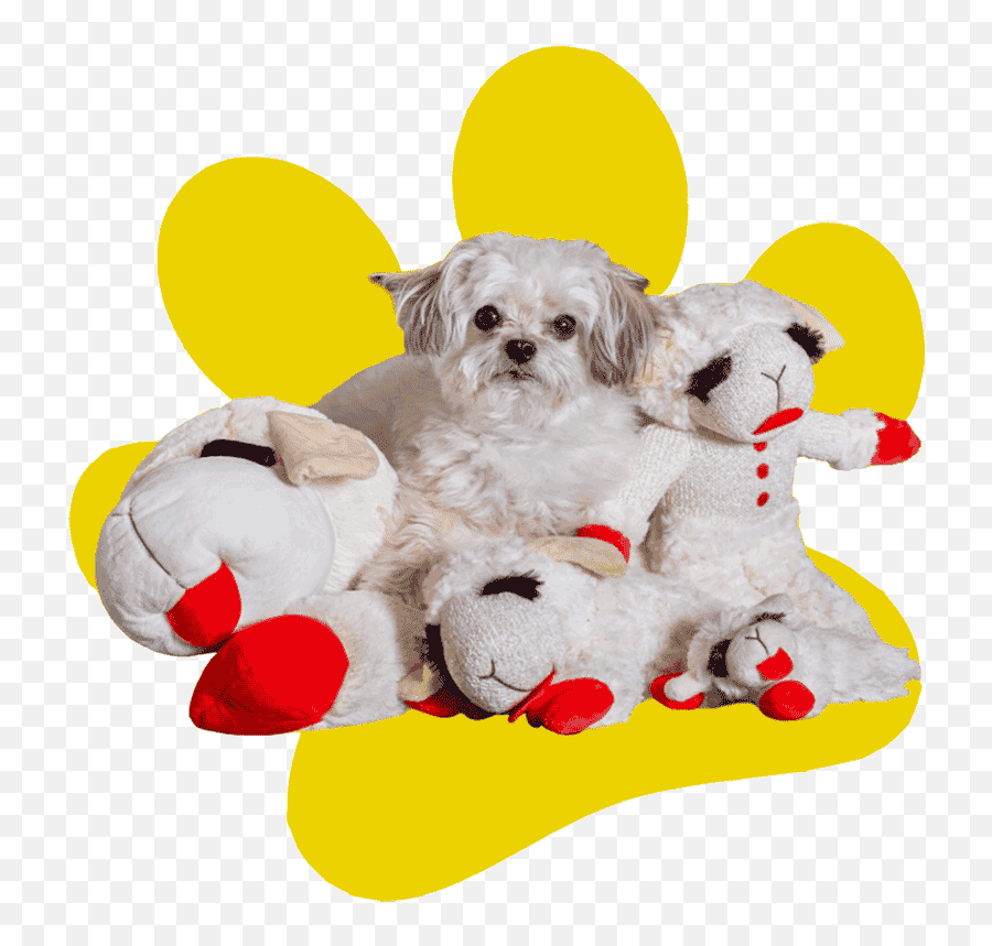 Leading Pet Product Supplier In The United States Multipet - Multipet Emoji,Emotion Dog Signs