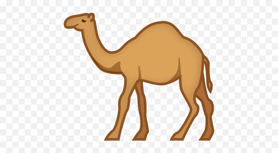 Dromedary Camel - Transparent Camel Emoji,Camel Text Emoticon