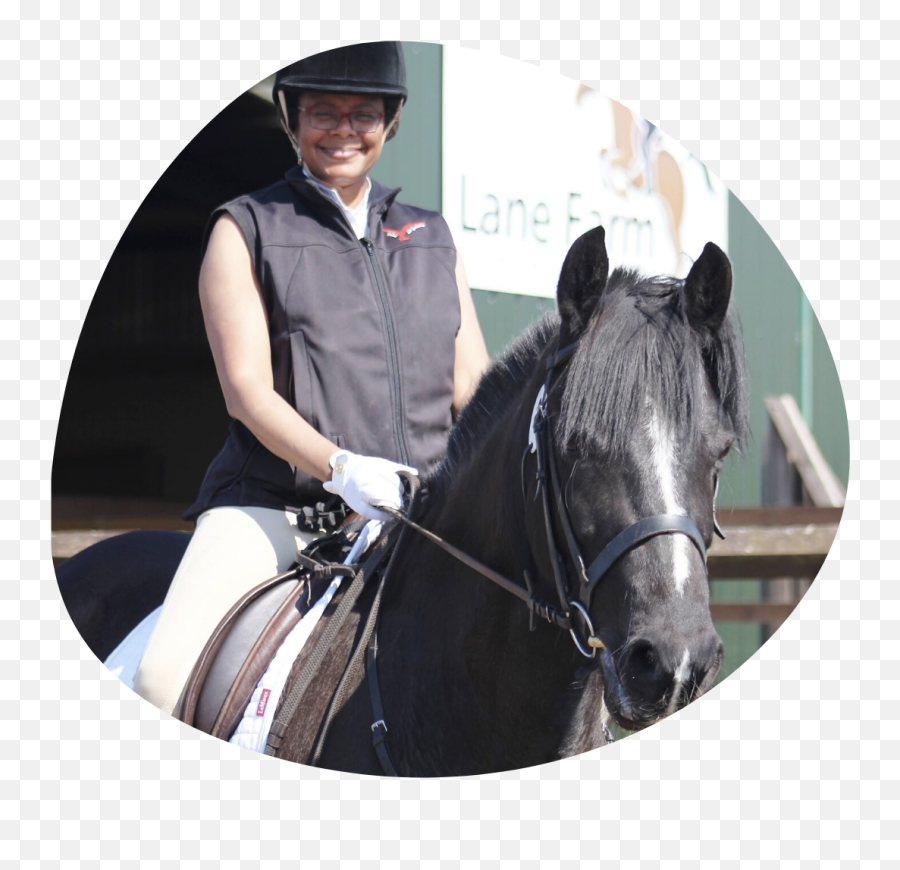 The Aware Rider Program - Bridle Emoji,Emotion Horse Rider Metaphor