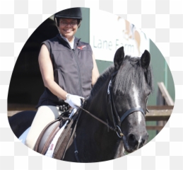 The Aware Rider Program - Bridle Emoji,Emotion Horse Rider Metaphor