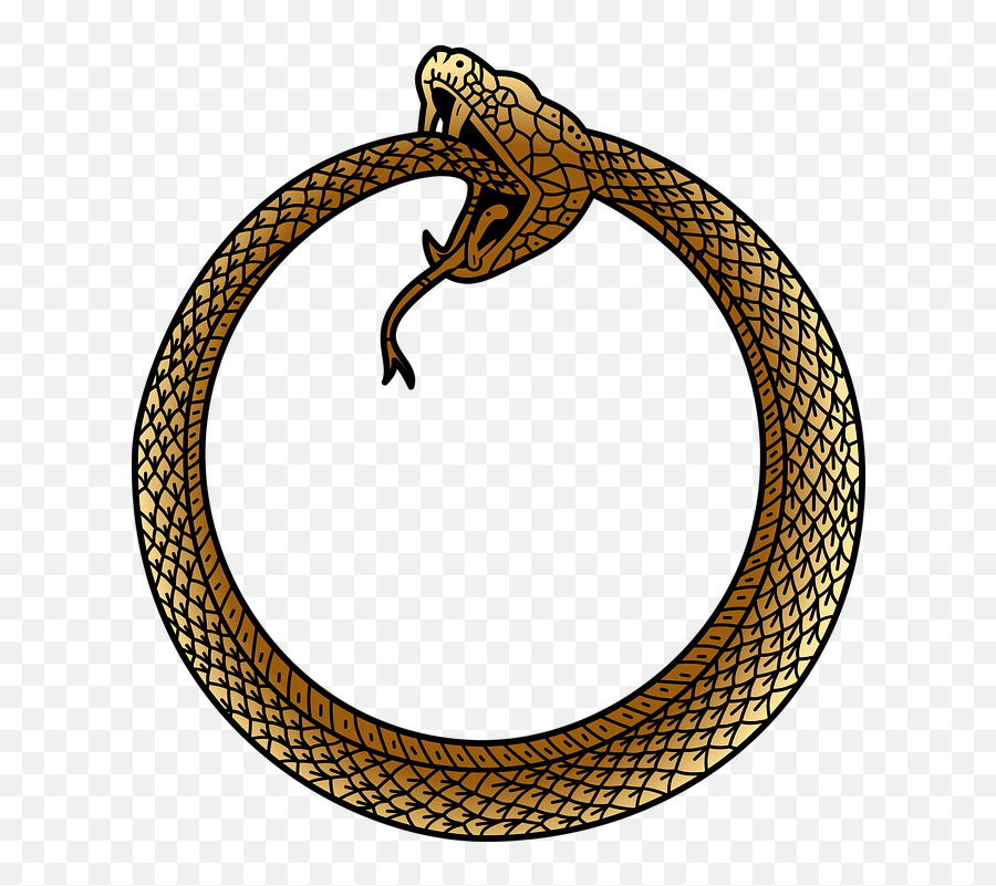 Free Photo Snake Uroboros Serpent Symbol Ouroboros Ancient - Uroboros Vector Emoji,Viper Emoticon