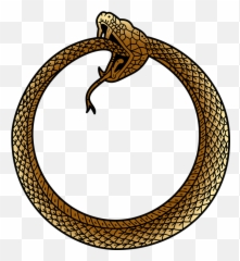 Free Photo Snake Uroboros Serpent Symbol Ouroboros Ancient - Uroboros Vector Emoji,Viper Emoticon