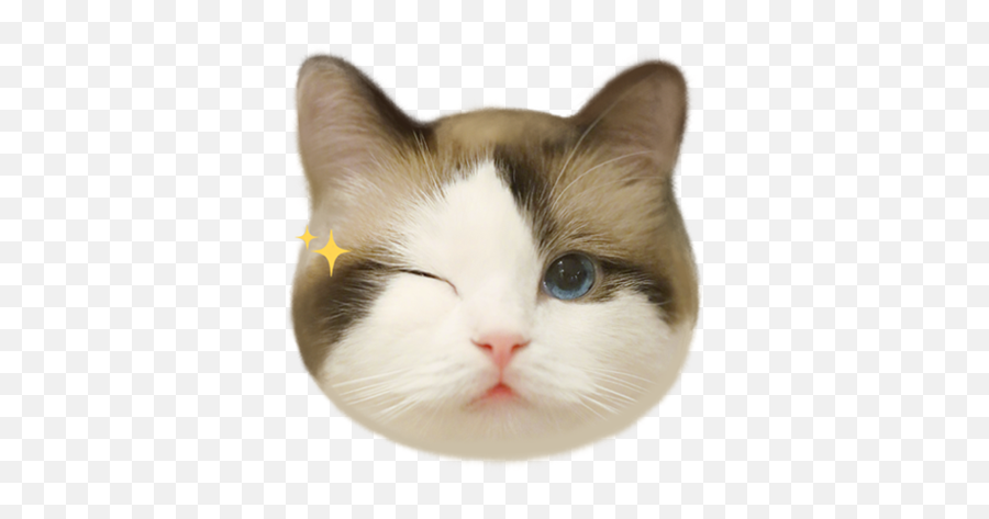 Cat Meow Emoji - Soft,Meow Emoji