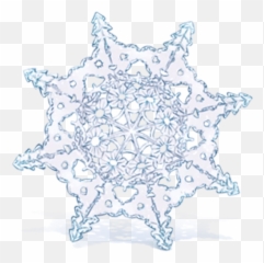 New Year Characters Stickers - Live Wa Stickers Emoji,Animated Crochet Emotions
