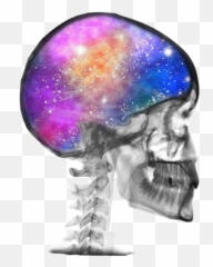 A Day On Depth Psychology - The Weekend University Emoji,Skulls That Can Show Emotion