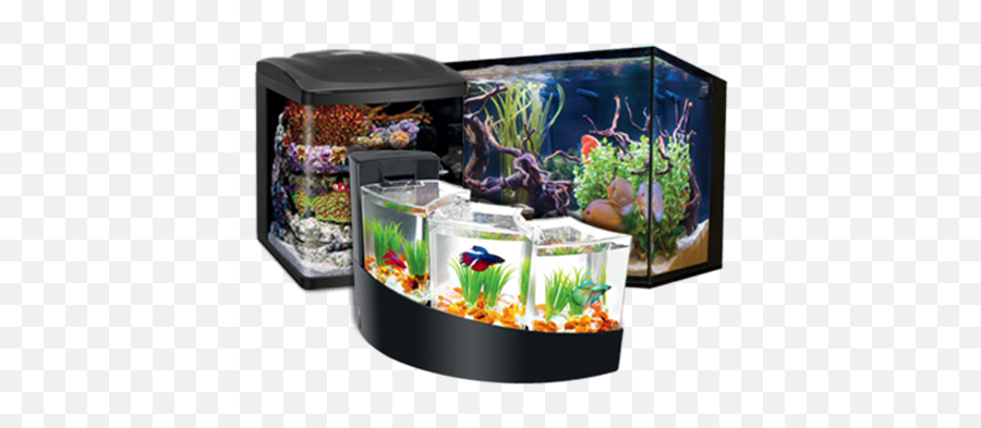 Uncle Billu0027s Pet Centers Aquariums U0026 Kits Emoji,Fishtank Emoticon For Facebook