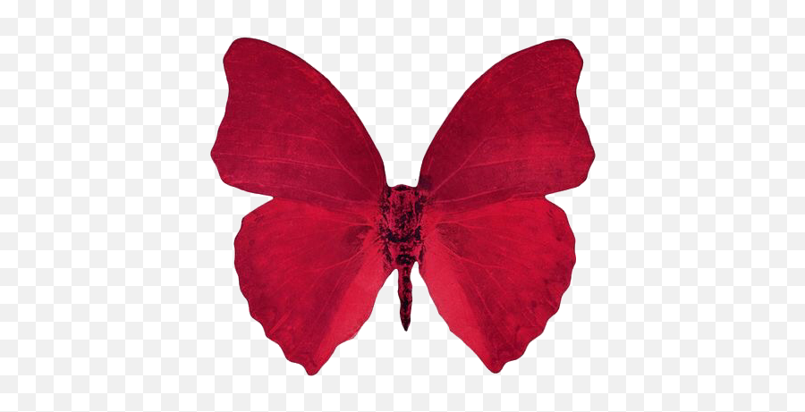 Aesthetic Butterfly Png Tumblr - Are You Searching For Transparent Background Red Aesthetic Png Emoji,Butterfly Emoticons