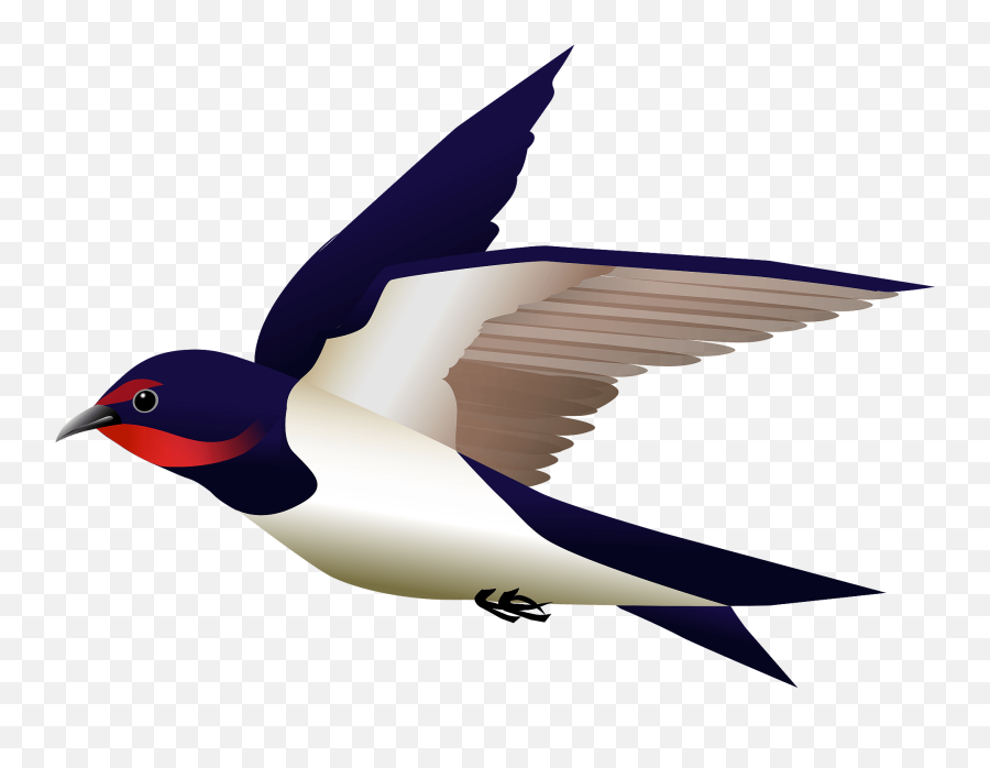 Barn Swallow Bird Clipart - Vektor Burung Walet Png Emoji,Swallow Emoji