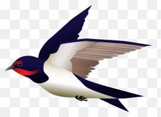 Barn Swallow Bird Clipart - Vektor Burung Walet Png Emoji,Swallow Emoji