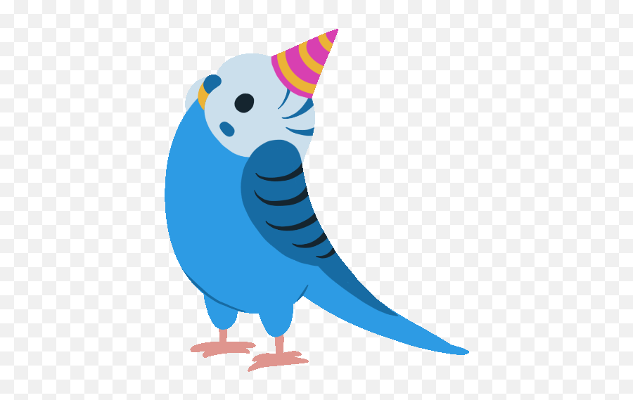 Party Parrot Gifs - Happy Birthday Budgie Gif Emoji,Bird Gif Emoticons