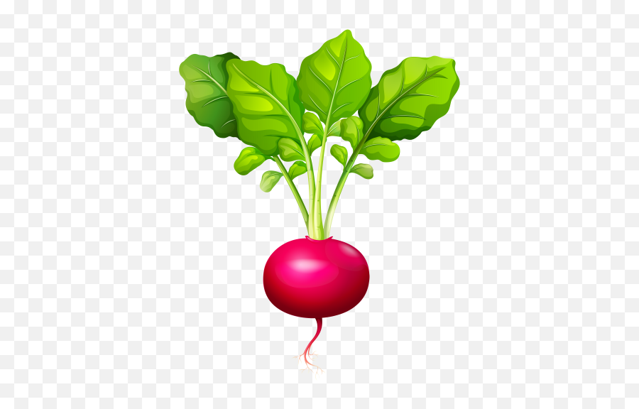 Arien Praba - Radish Clipart Transparent Emoji,Emoticon Pesonal