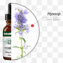 Ezov - Nutramedix Emoji,Ingredients Of Emotion