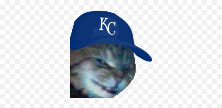 Cat Derp Face Emoji,Kluber Winning Mvp No Emotion