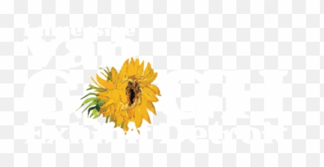 Van Gogh Exhibit Charlotte The Immersive Experience Emoji,G-major Emotions (inside Out)