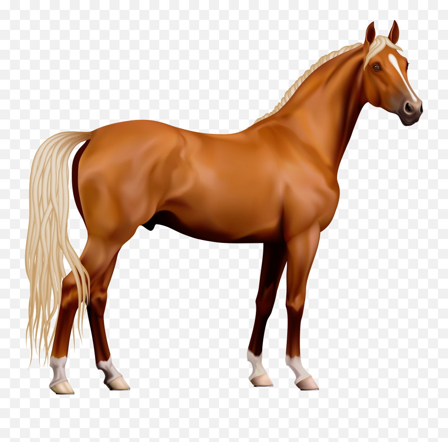 Free Suppose Cliparts Download Free Clip Art Free Clip Art - Horse Png Emoji,Horse And Muscle Emoji