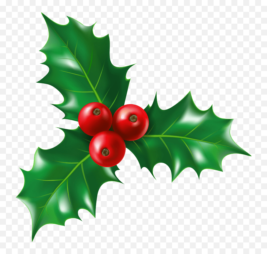 Holly Clipart - Clipartworld Botanical Holly Berry Illustration Emoji,Holly Emoji Copy And Paste