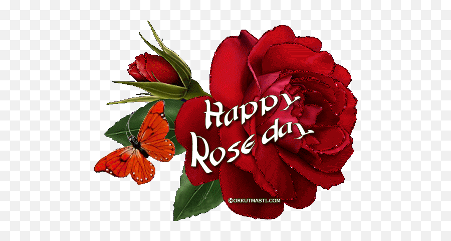 Top Emily Rose Stickers For Android U0026 Ios Gfycat - Happy Rose Day Gif Emoji,Yellow Rose Emoji