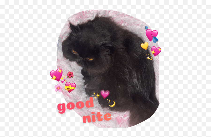 Maki Chan Emoji,Emojis For Good Nite Maki Chan Emoji,Emojis For Good Nite