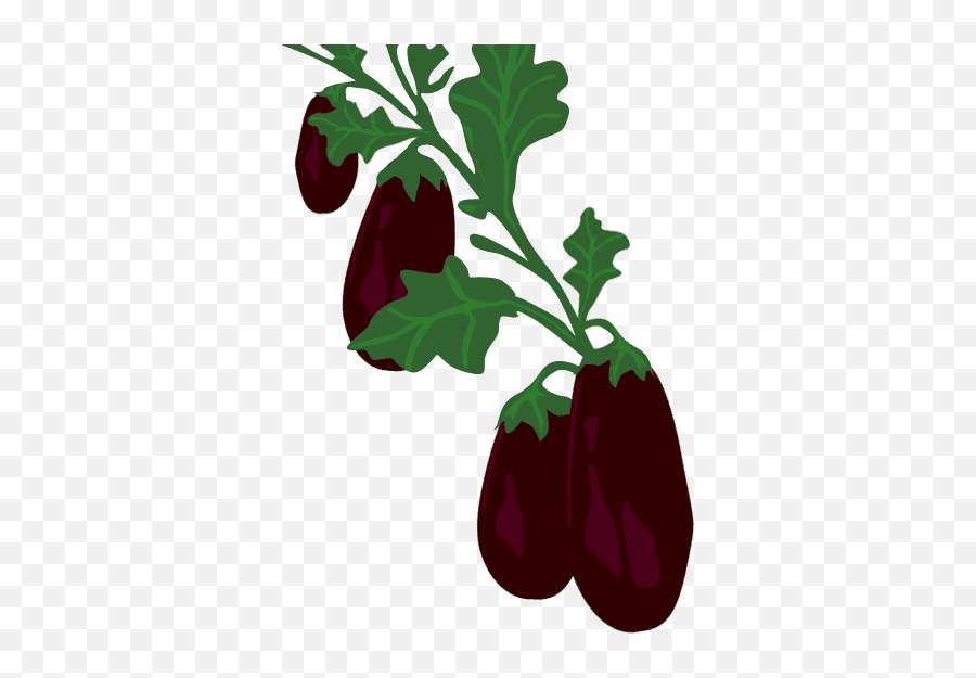 Food And Drinks Eggplant 424462 Graphic Eggplant Gif Emoji,Emoji Eggplant Cards