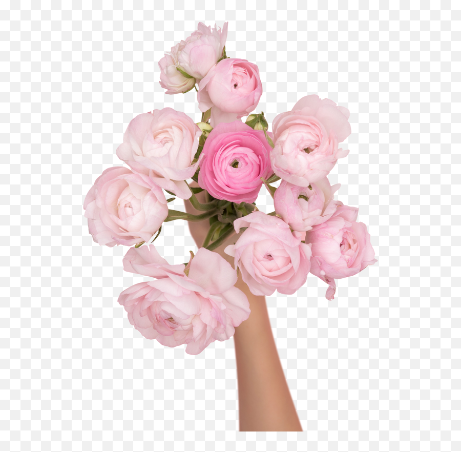 Transparent Stock Photos U0026 Images For Free Emoji,Rose In Pot Emoji Transparent Stock Photos U0026 Images For Free Emoji,Rose In Pot Emoji