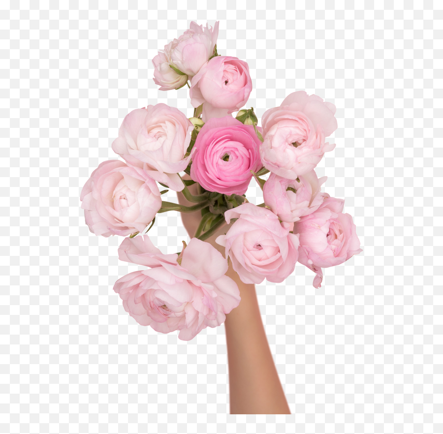 Transparent Stock Photos U0026 Images For Free Emoji,Rose In Pot Emoji