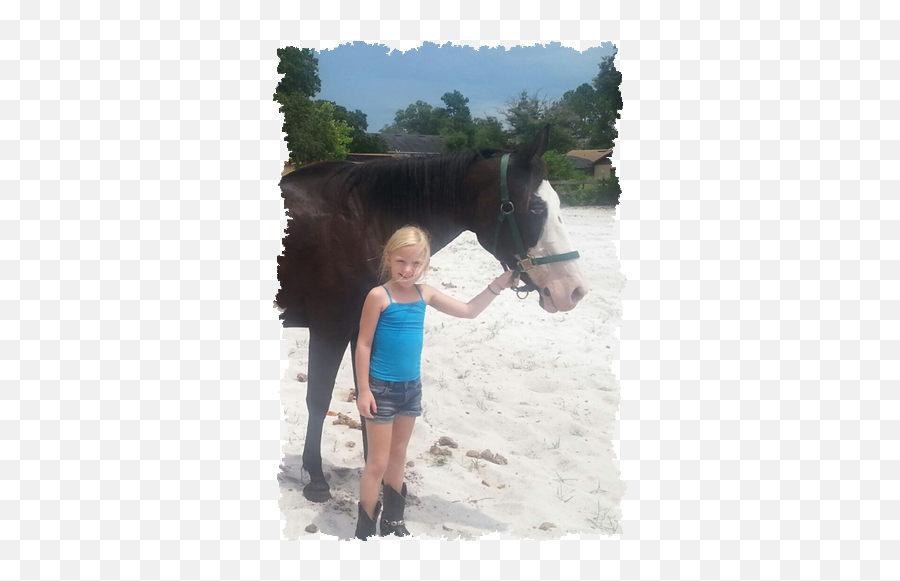 Sanfordu0027s 2017 Summer Activities U0026 Camp Guide Sanford 365 Emoji,Emoji Riding A Horse