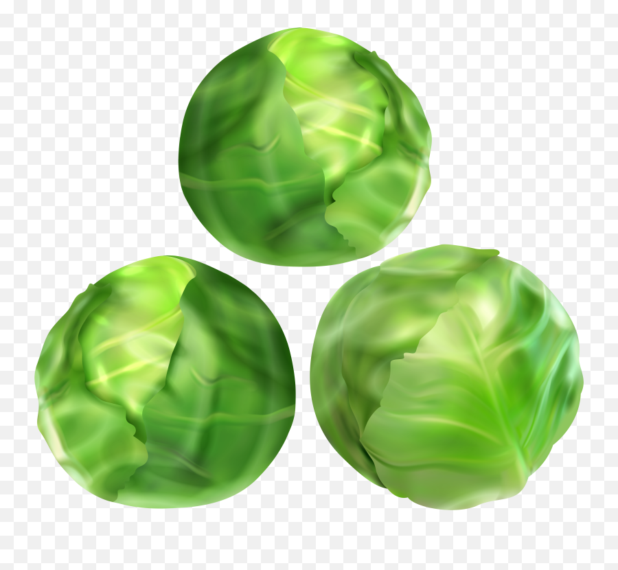 Free Sprouts Cliparts Download Free Clip Art Free Clip Art - Transparent Brussel Sprouts Clipart Emoji,Bean Sprout Emoticon