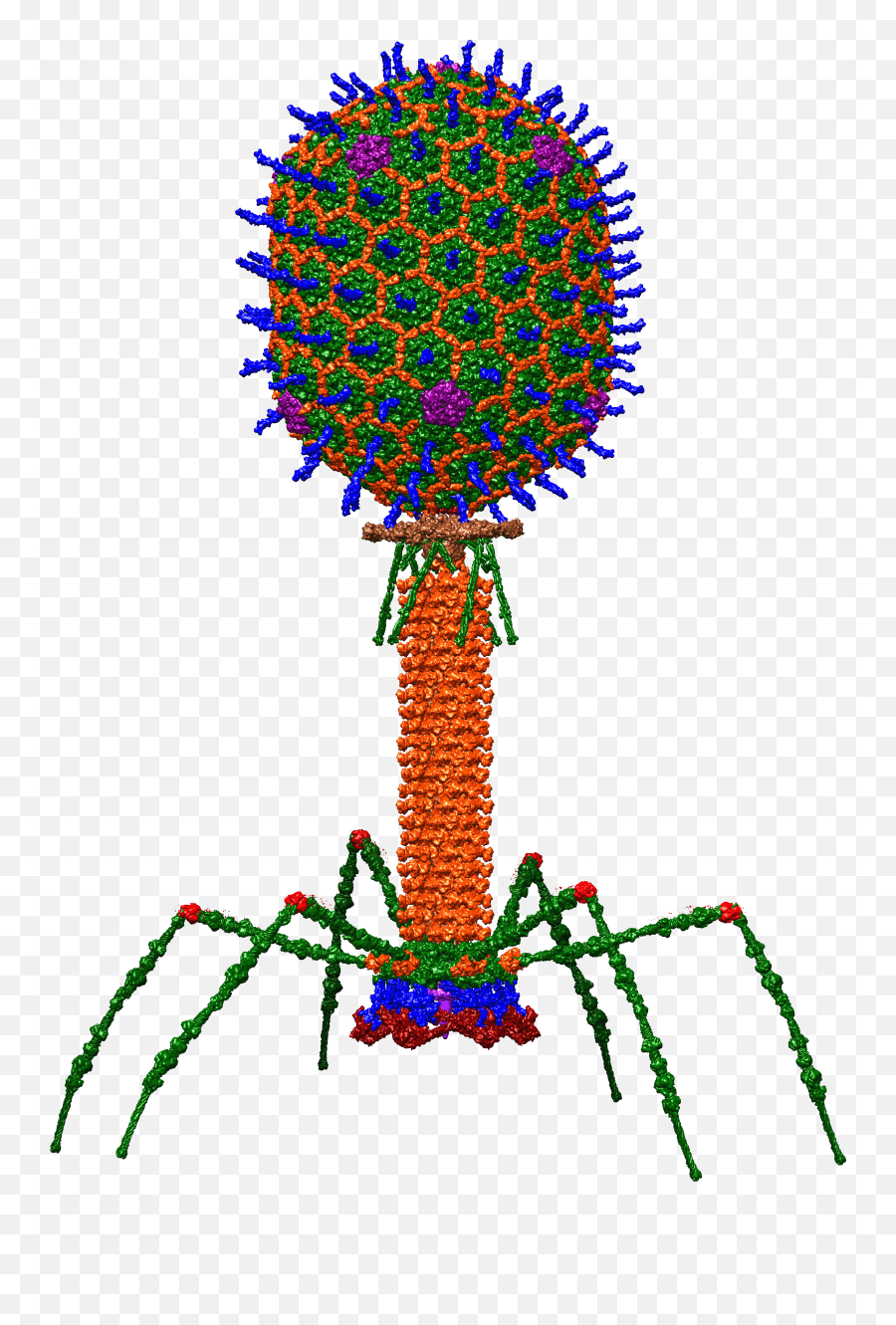 Bacteriophage - T4 Bacteriophage Emoji,Flip This Table Wikipedia Emoticon