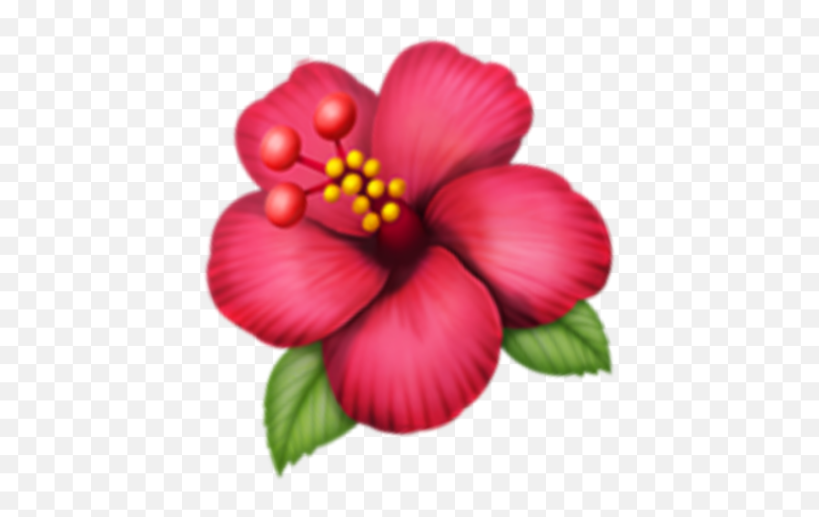 Flor Flower Cute Emoji Pink Kawaii - Shoeblackplant,Kawaii Flower Emoji