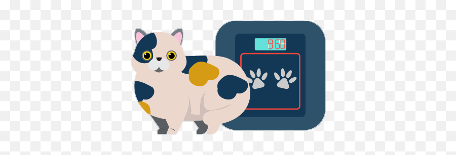 Malik - Weight Cat Cartoon Emoji,Cat Emotion Giving Cookie