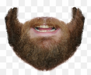 Search Results For Beards Png Hereu0027s A Great List Of Beards - Beard With Mouth Png Emoji,Goatee Emoji