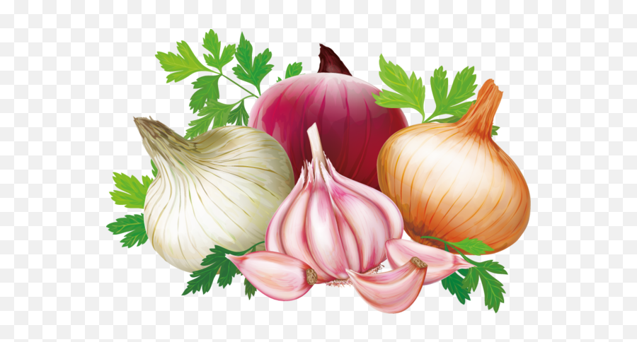 Popular And Trending - Dessin Oignons Emoji,Onion Emoji