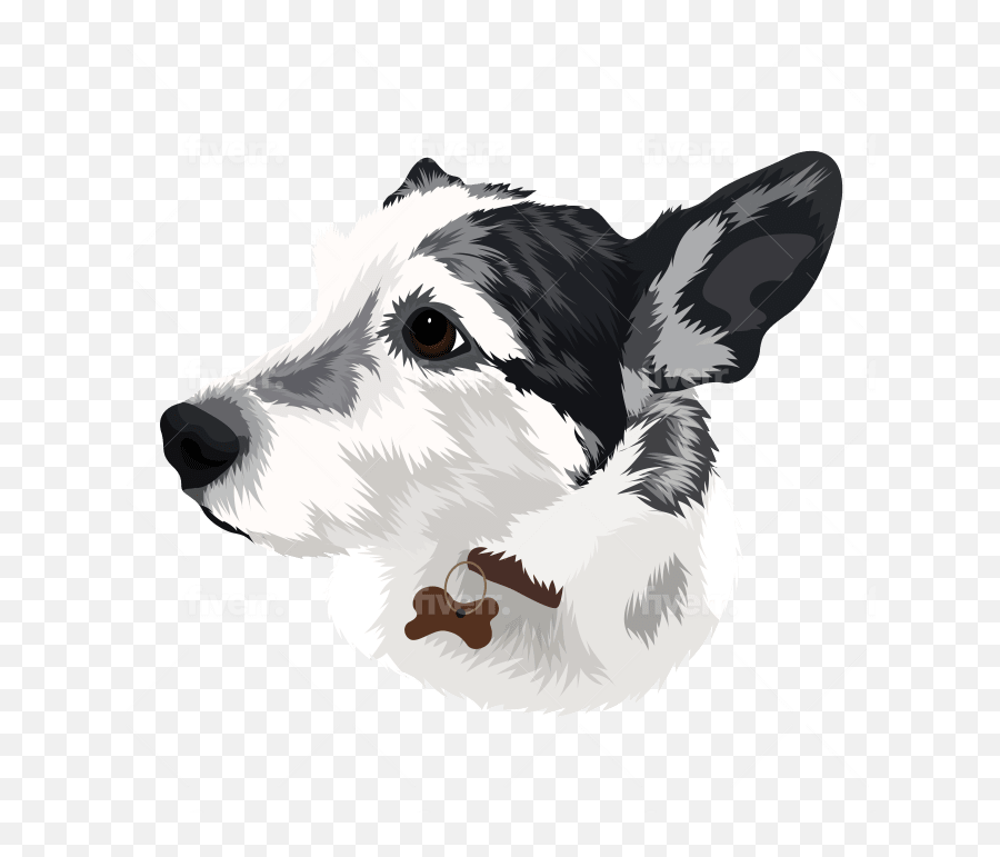 Draw Your Dog Cat Custom Pet Portrait - Northern Breed Group Emoji,Terrier Dog Emoji Png