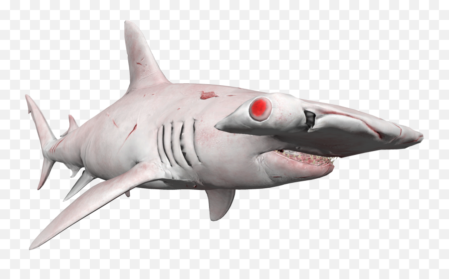Paypal Webmoney Bitcoin - Great White Shark Emoji,Shark Emoticon Depth