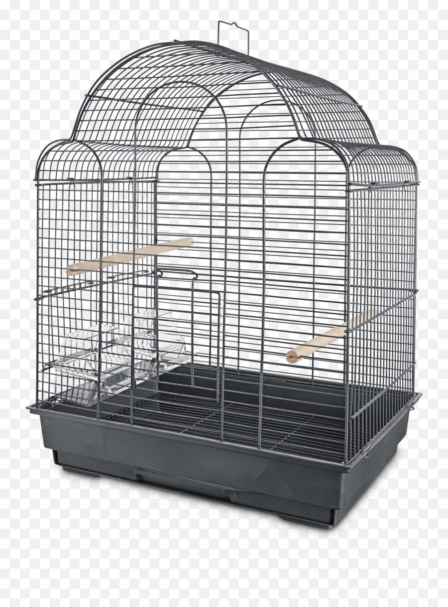 Parakeet Care Sheet How To Care For A Parakeet Petco Emoji,Como Poner Los Emojis Aun Phoenix 5 Youtube