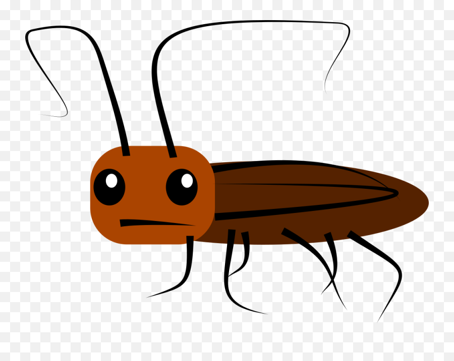 Animals Cute Photo Background Transparent Png Images And - Cockroach Cartoon Png Emoji,Cockroach Emoticon
