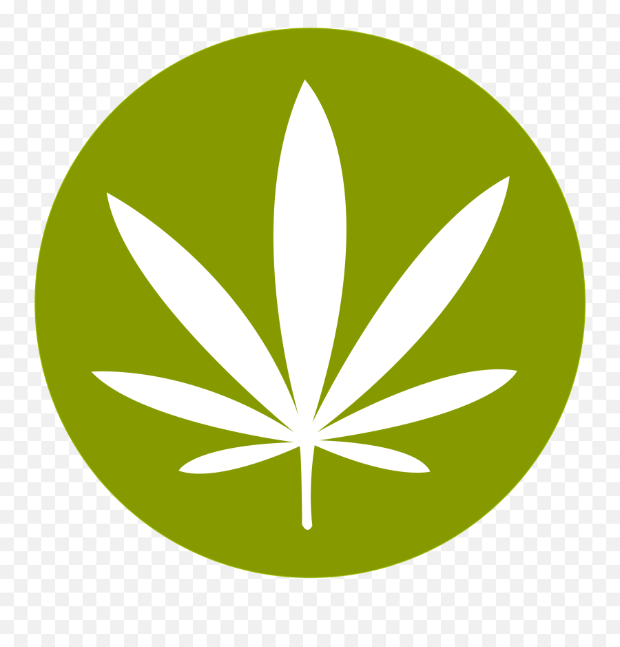 Cannabis Png Images Free Download Rh Pngimg Com Stoner - Transparent Background Cannabis Leaf Icon Emoji,Smoking A Joint Emoji