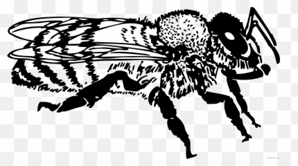 Honey Bee Coloring Pages Honey Bee 1 Bpng Printable - Insect Bee Clipart Black And White Emoji,Honey Bee Emoji