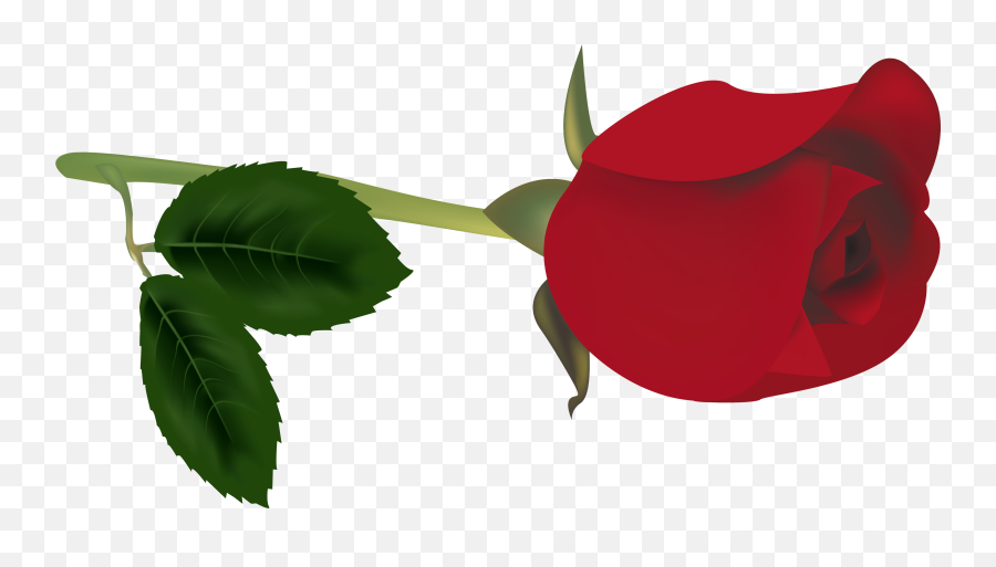 Red Rose Bud Png U0026 Free Red Rose Budpng Transparent Images - Rose Bud Png Emoji,Bud Emoji