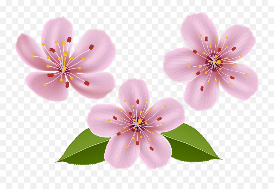 Spring Flowers Transparent - 10 Free Hq Online Puzzle Games Flower Clip Art Transparent Emoji,Flower Bouquet Emoji