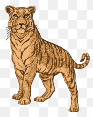 China Rose Kittysol - Tiger Clipart Black And White Emoji,A House And A Tiger Emoji Man