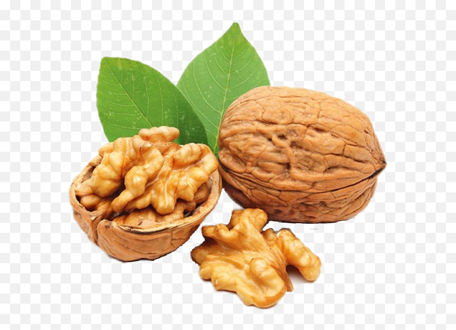 Sticker Nut Nuts Sticker - Walnut Emoji,Nuts Emoji