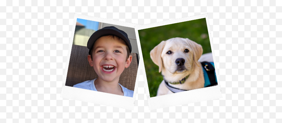 Good Dog Family Fundraisers - Good Dog Autism Companions Emoji,Dog Ear Emotions\