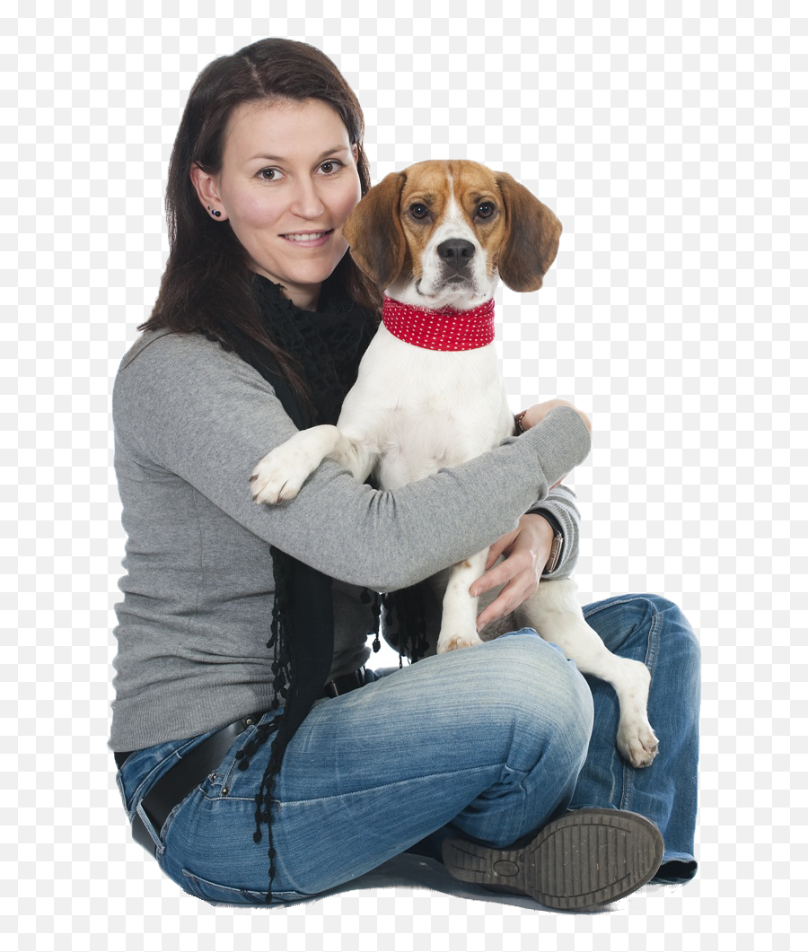 Canine Service Pals - Sitting Emoji,Beagle Puppy Emotions